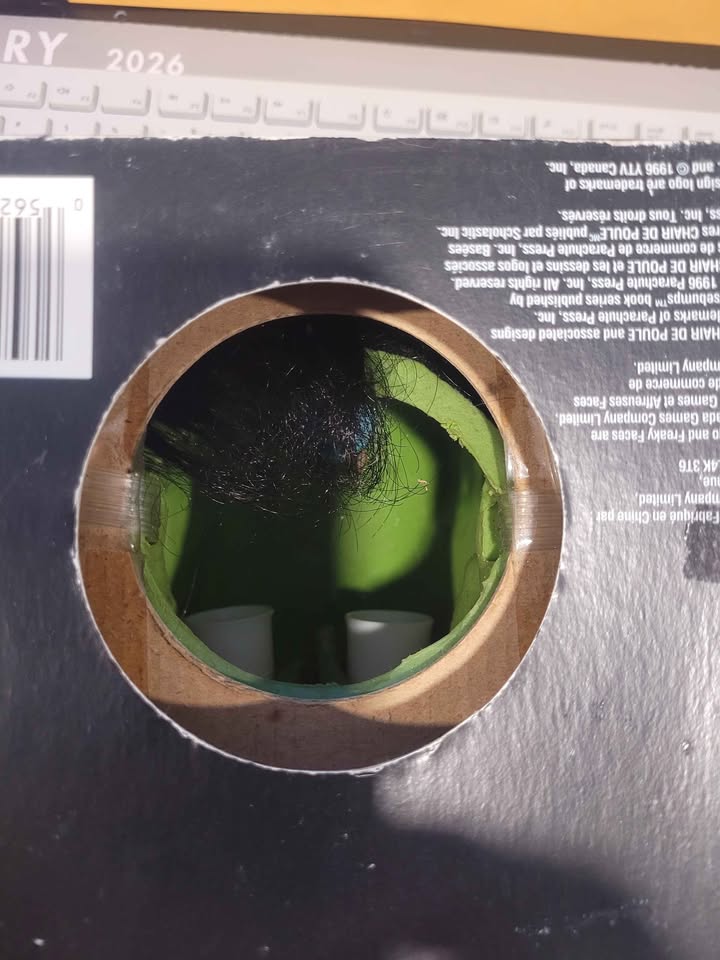 Goosebumps | Freaky Faces | In Original Box w/ Tape