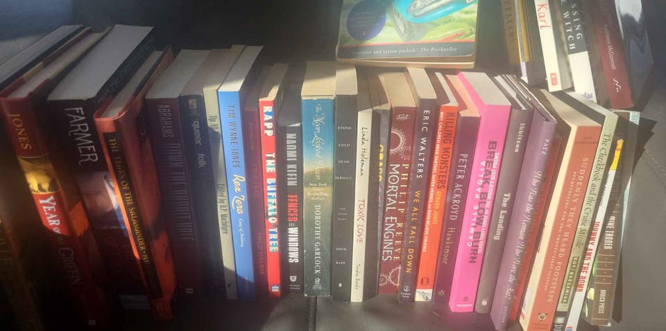 Bulk Books! - Batch of 34