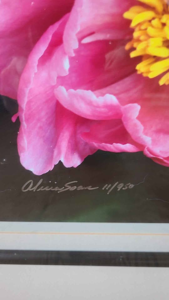 Alicia Soave Limited Print