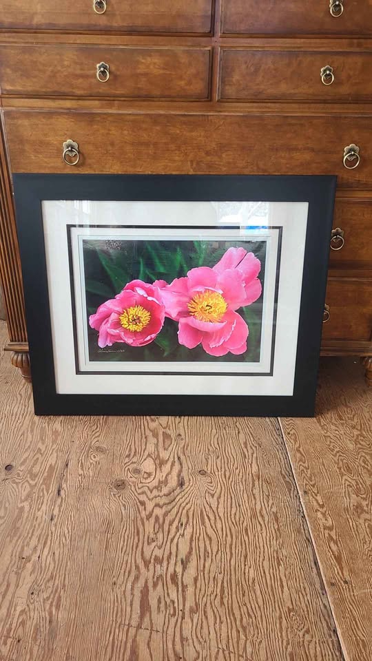 Alicia Soave Limited Print