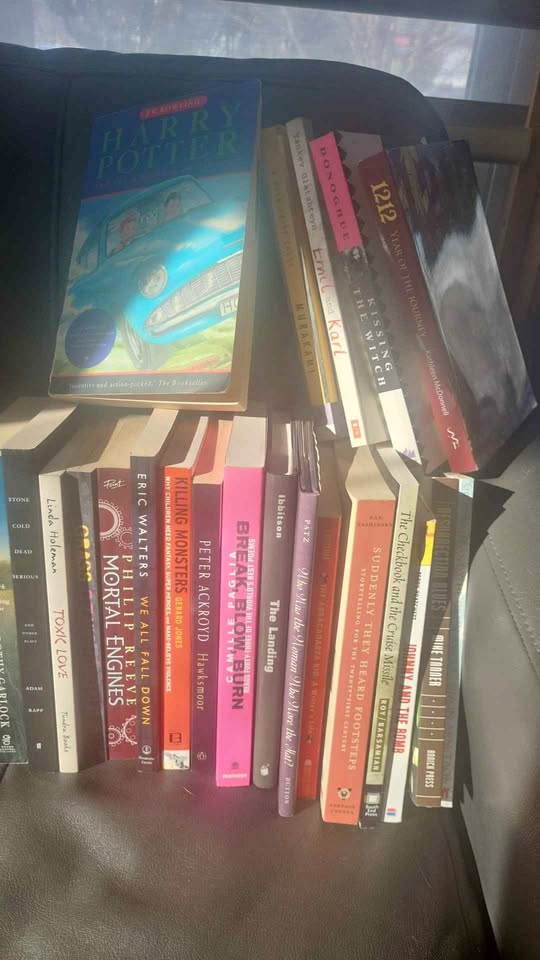 Bulk Books! - Batch of 34