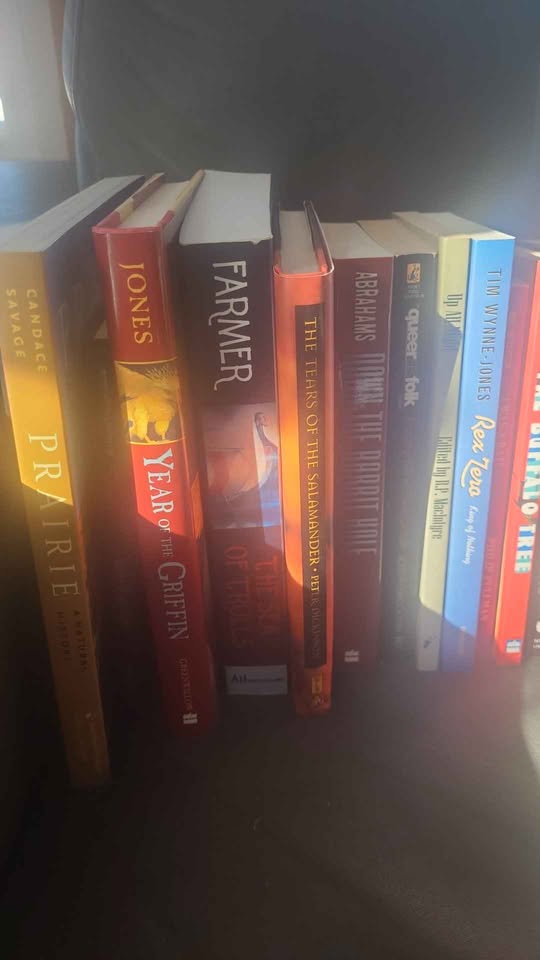 Bulk Books! - Batch of 34