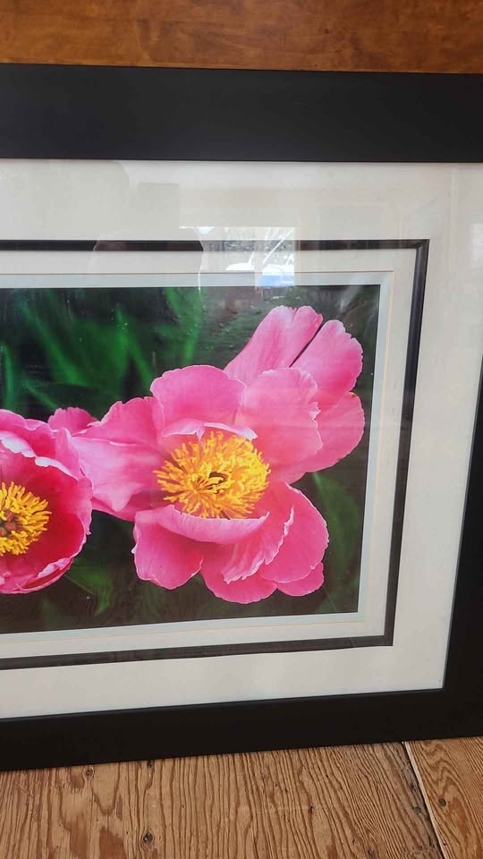 Alicia Soave Limited Print