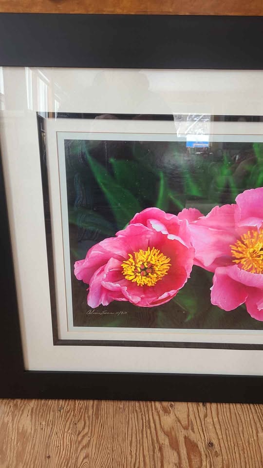 Alicia Soave Limited Print